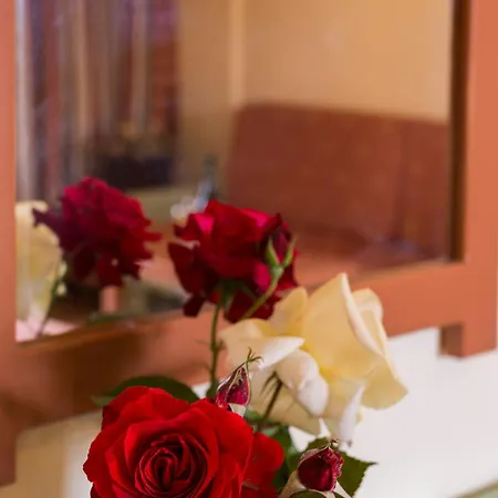 Nireas Lejlighedshotel 3*